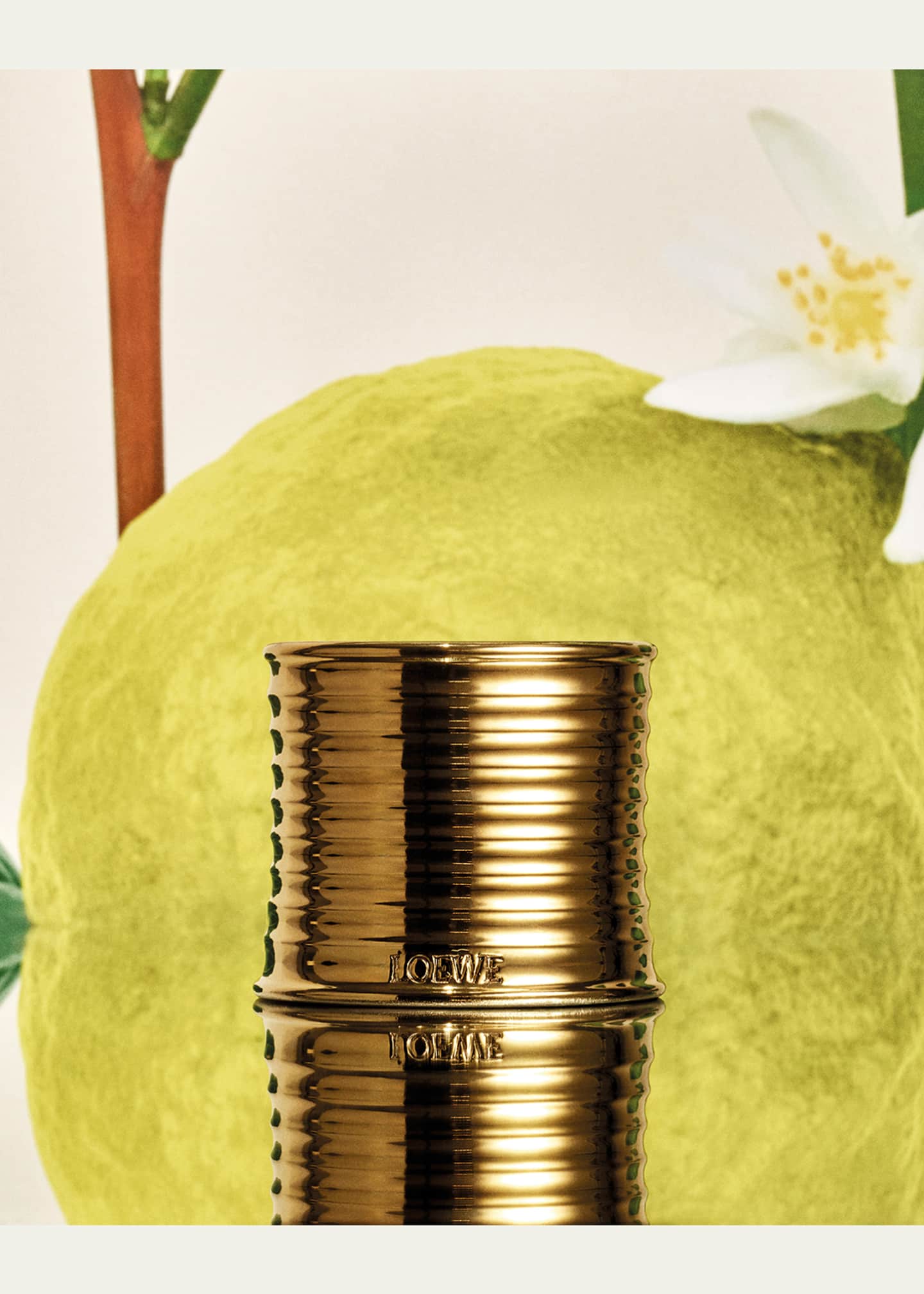Loewe LOEWE Earl Grey Midi Scented Candle - Bergdorf Goodman
