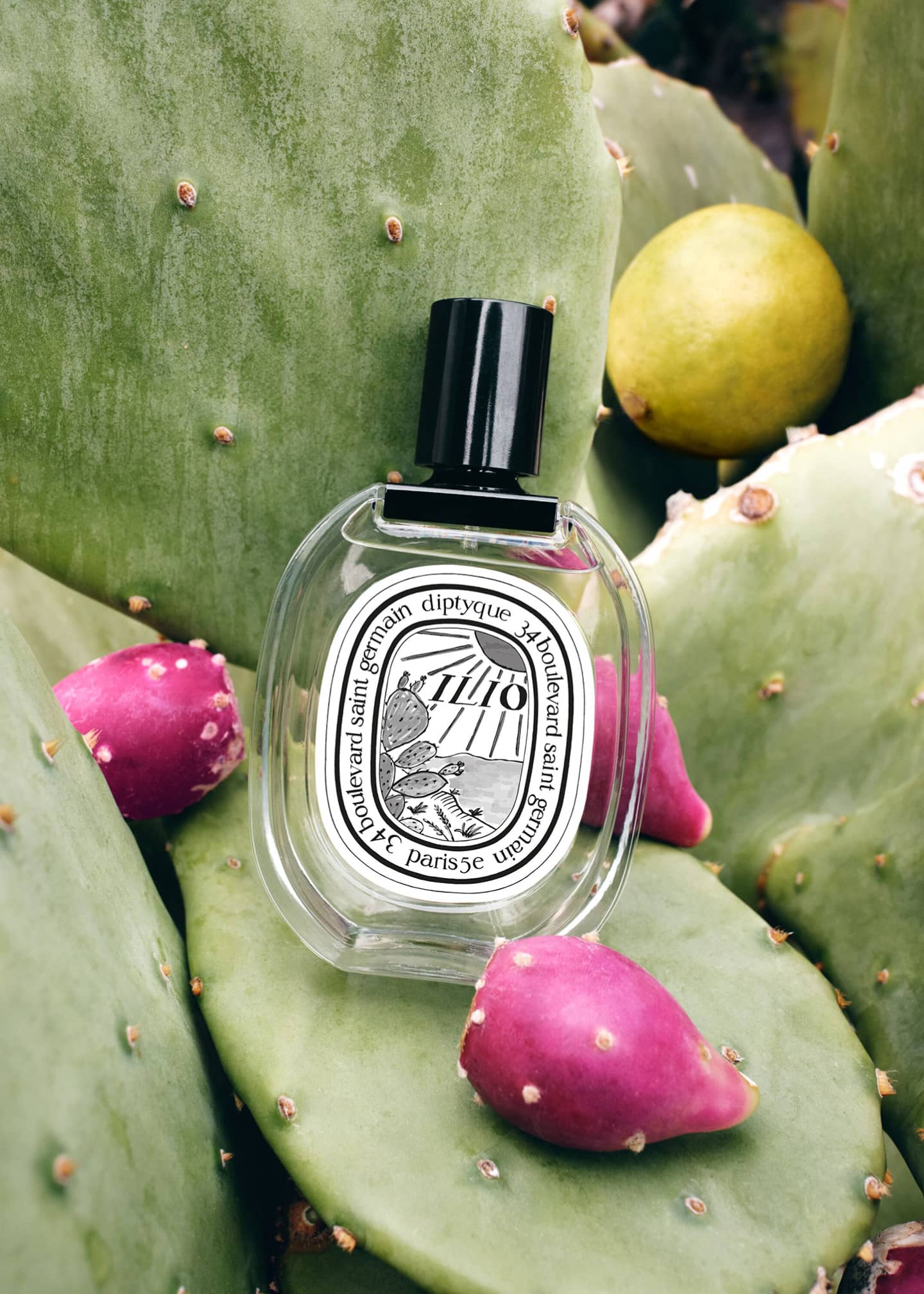 DIPTYQUE Ilio Eau de Toilette, 3.4 oz. Image 4 of 5