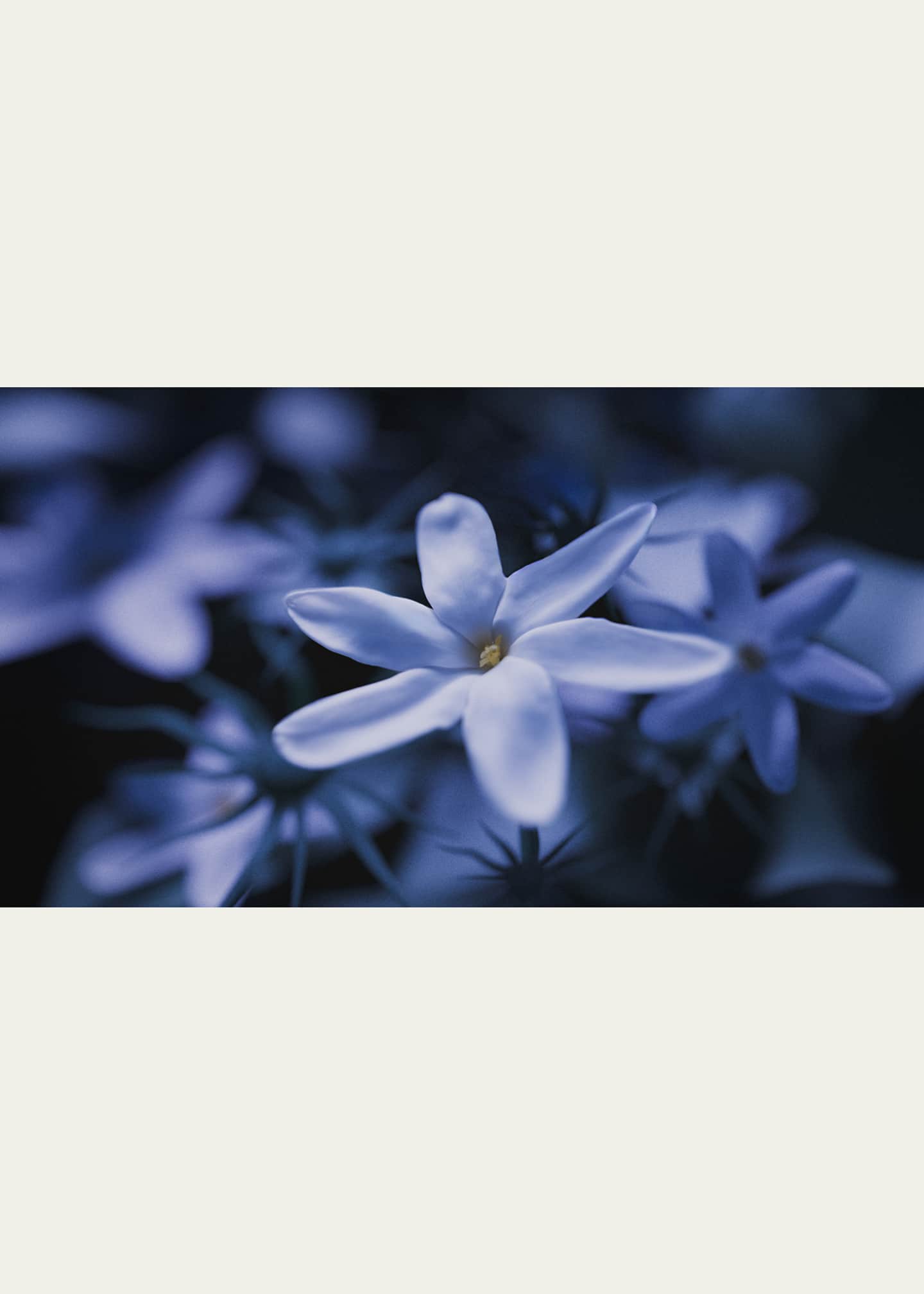 Blue Talisman Extrait de Parfum, 3.4 oz.