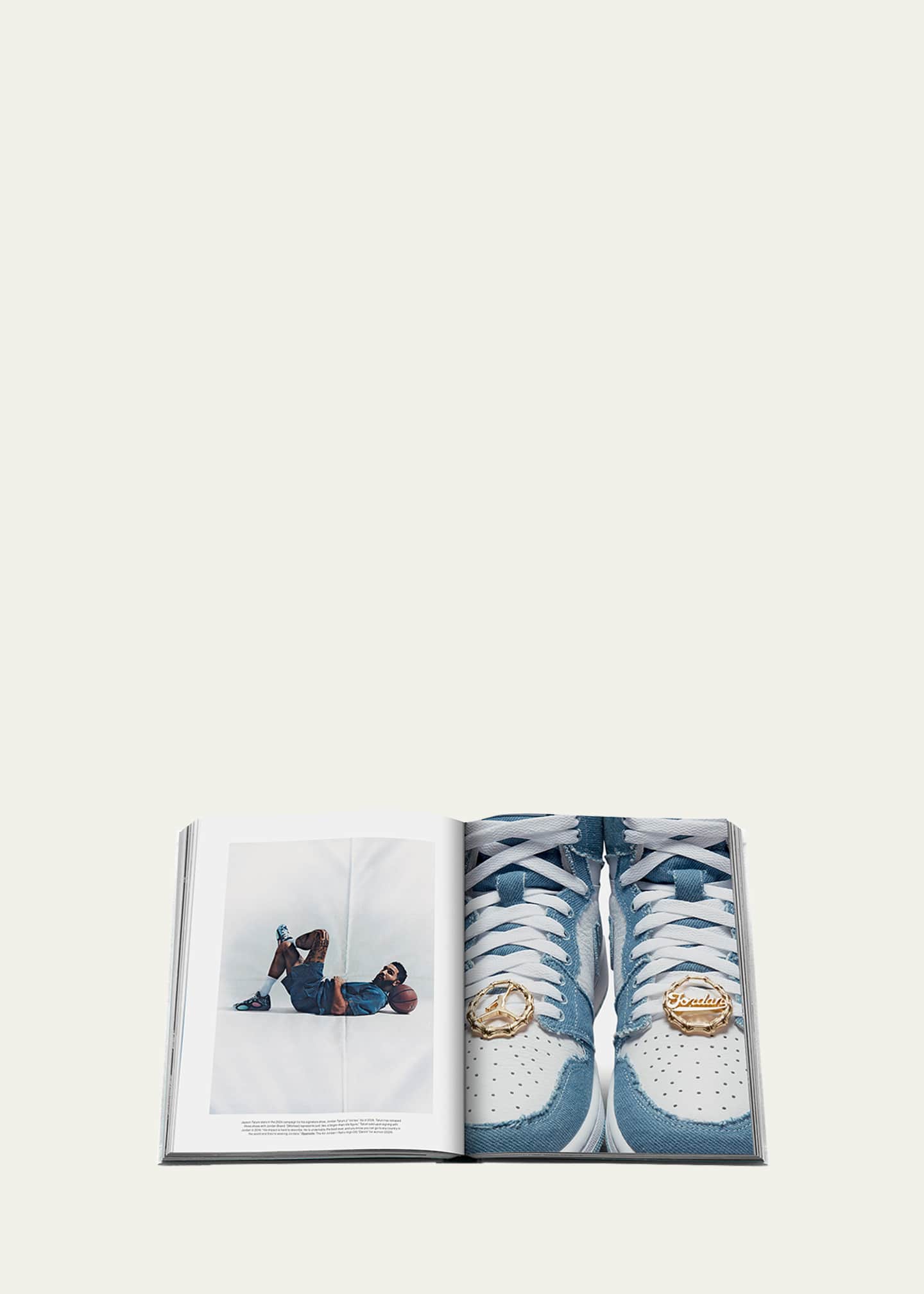 新品 ASSOULINE AIR JORDAN CLASSIC EDITION Assouline 