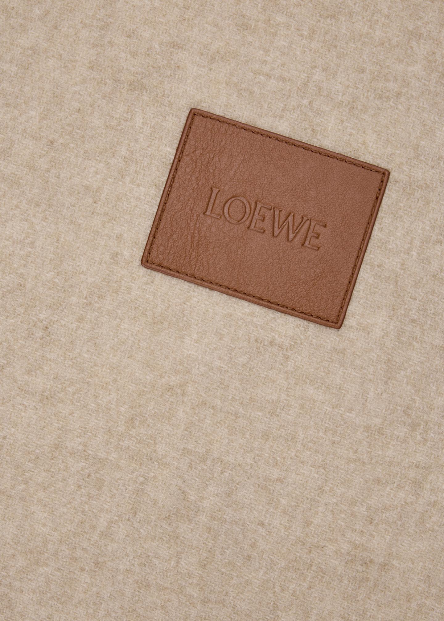 LOEWE Anagram Wool/Cashmere Cushion, 20