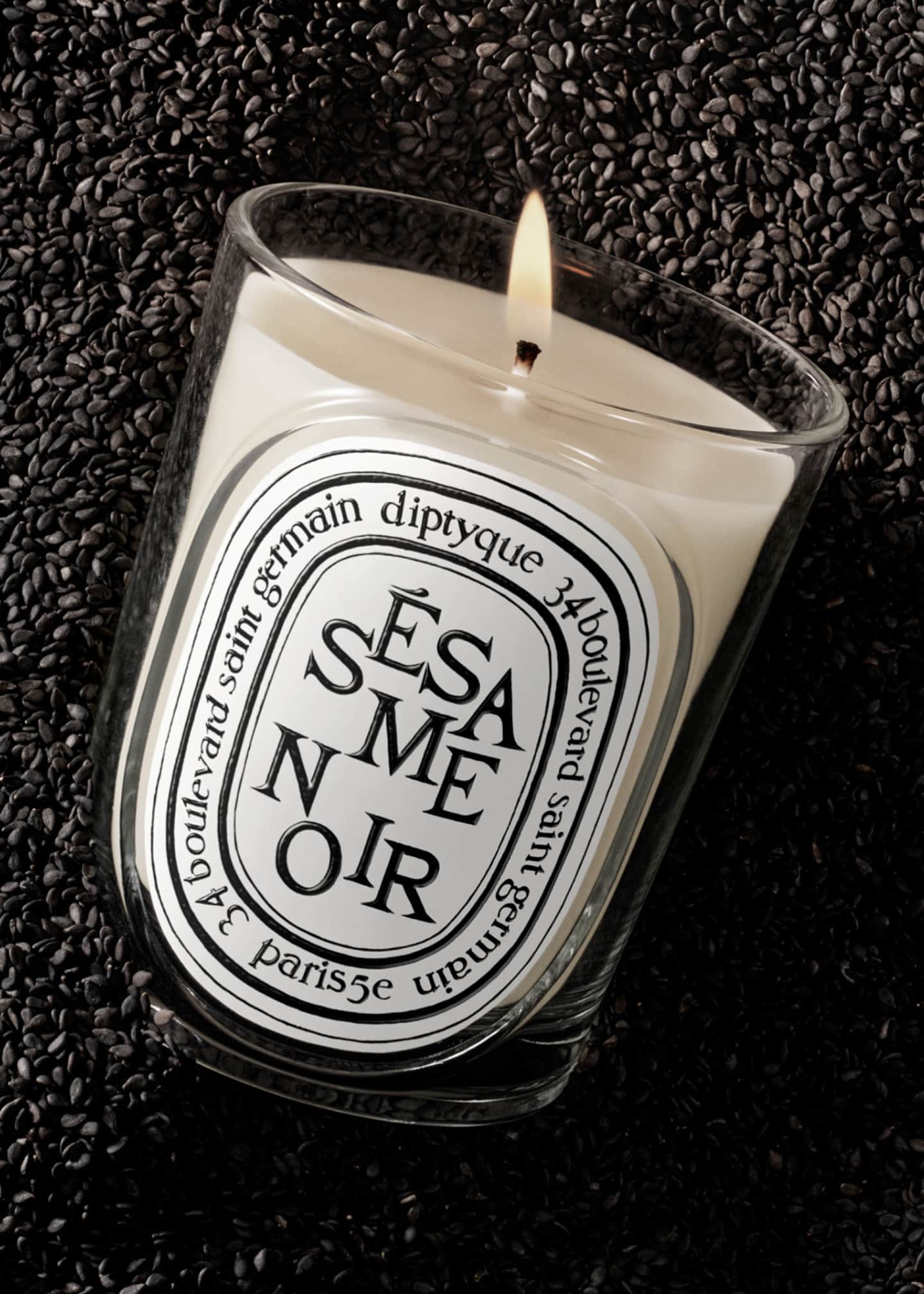 DIPTYQUE Ssame Noir (Black Sesame) Classic Candle, 6.7 oz