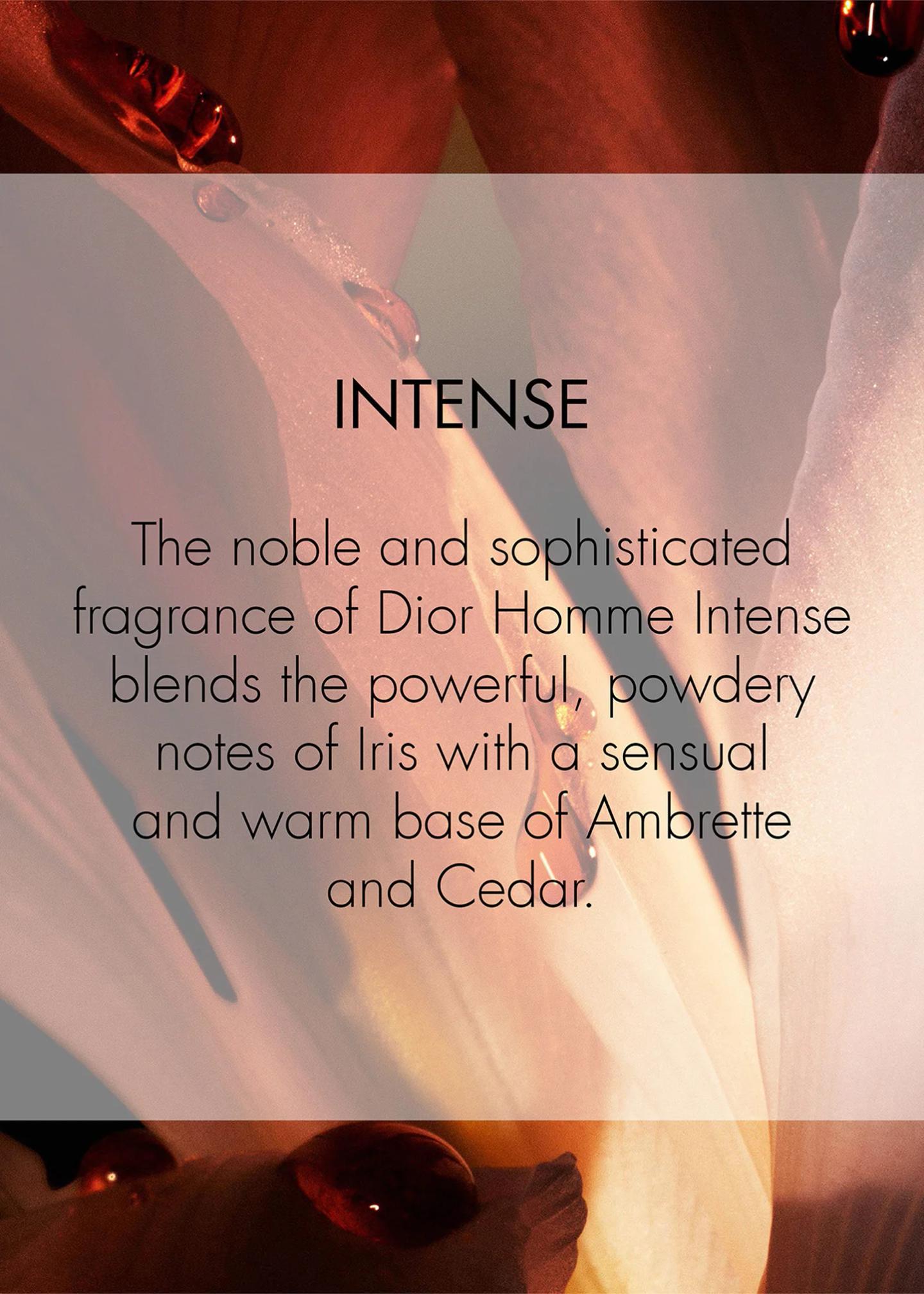 Dior Dior Homme Intense Eau de Parfum, 3.4 oz. - Bergdorf Goodman