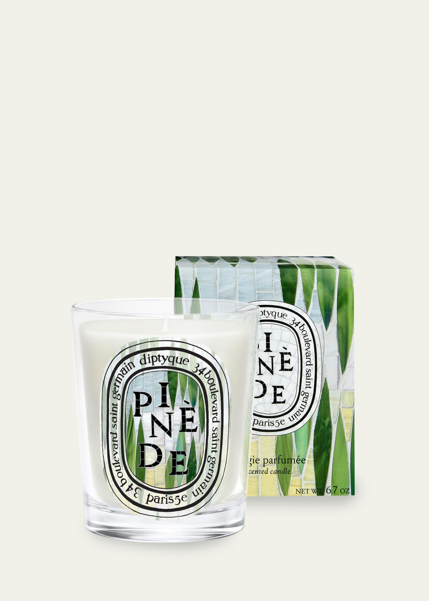 Diptyque Pinède Classic Candle, 6.5 oz. - Bergdorf Goodman