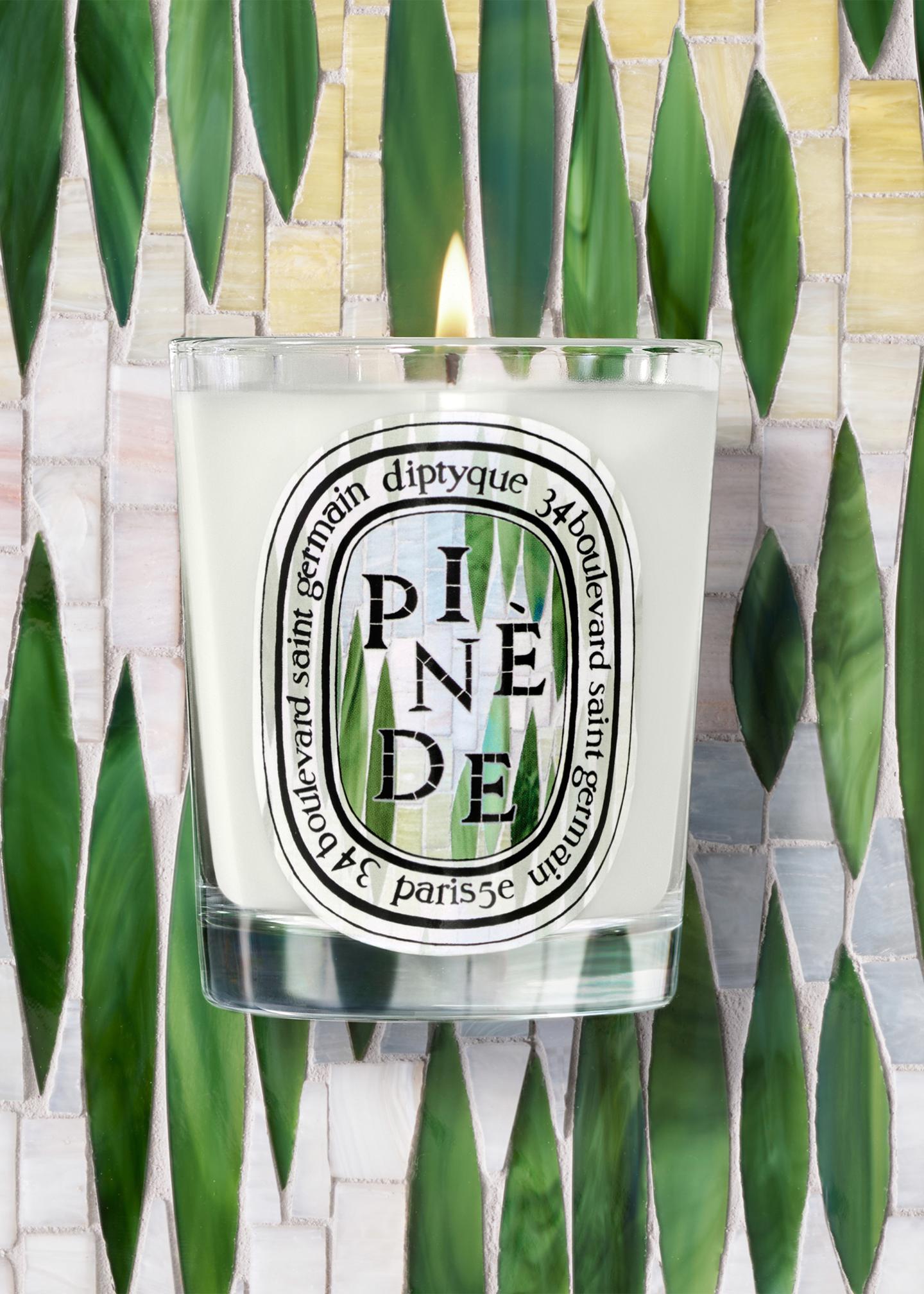 Diptyque Pinède Classic Candle, 6.5 oz. - Bergdorf Goodman