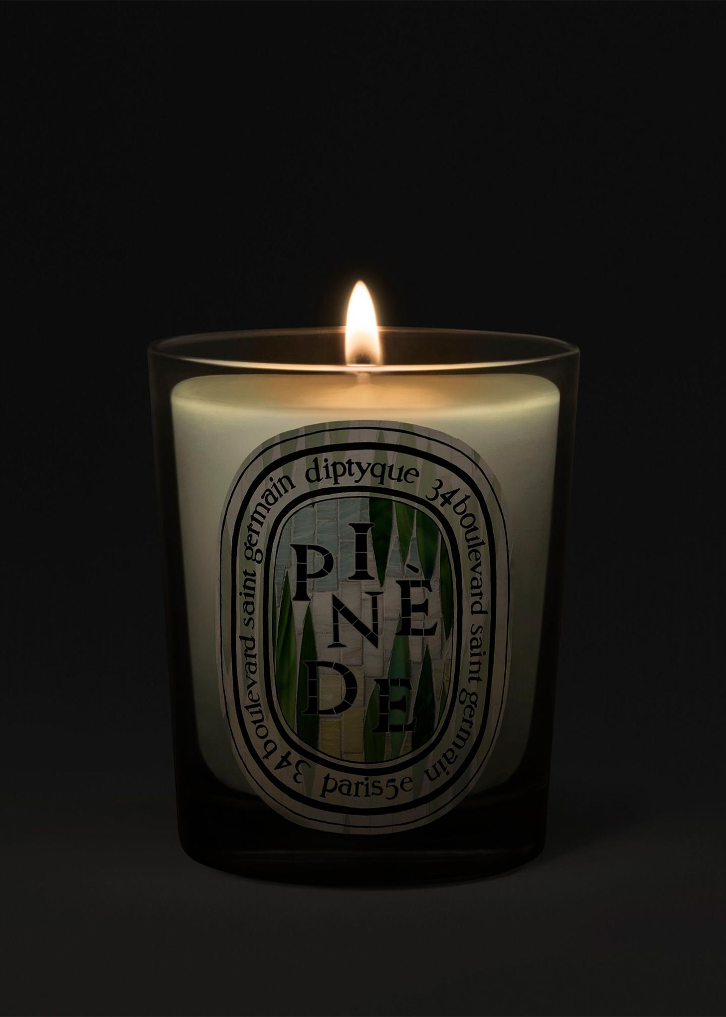 Diptyque Pinède Classic Candle, 6.5 oz. - Bergdorf Goodman