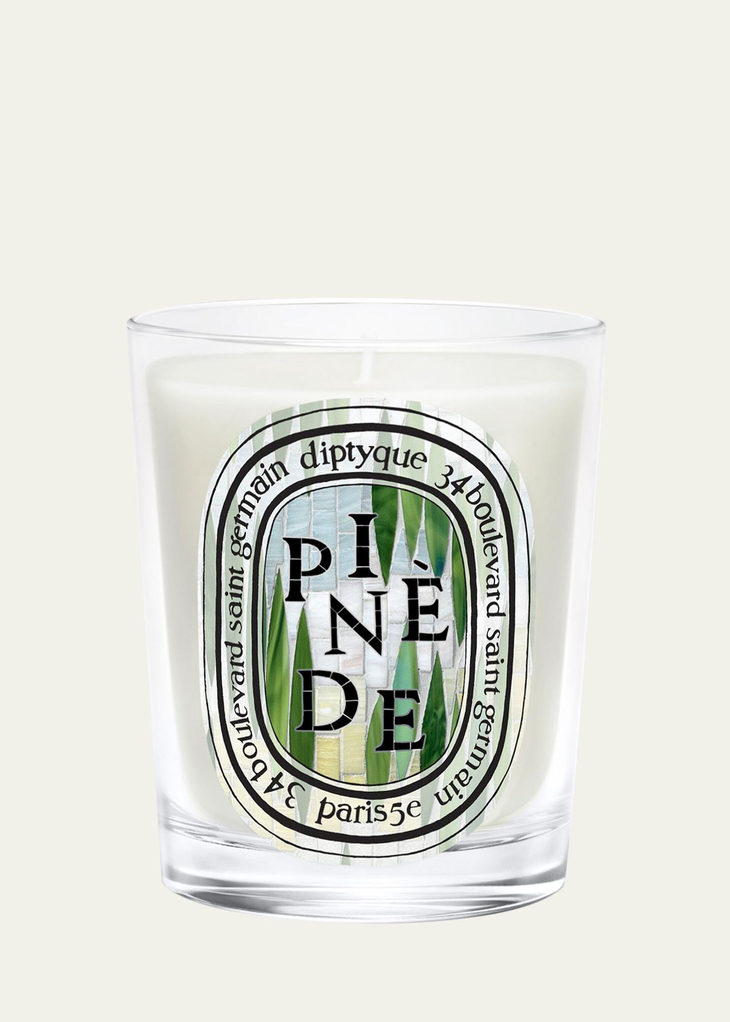 Diptyque Pinède Classic Candle, 6.5 oz. - Bergdorf Goodman