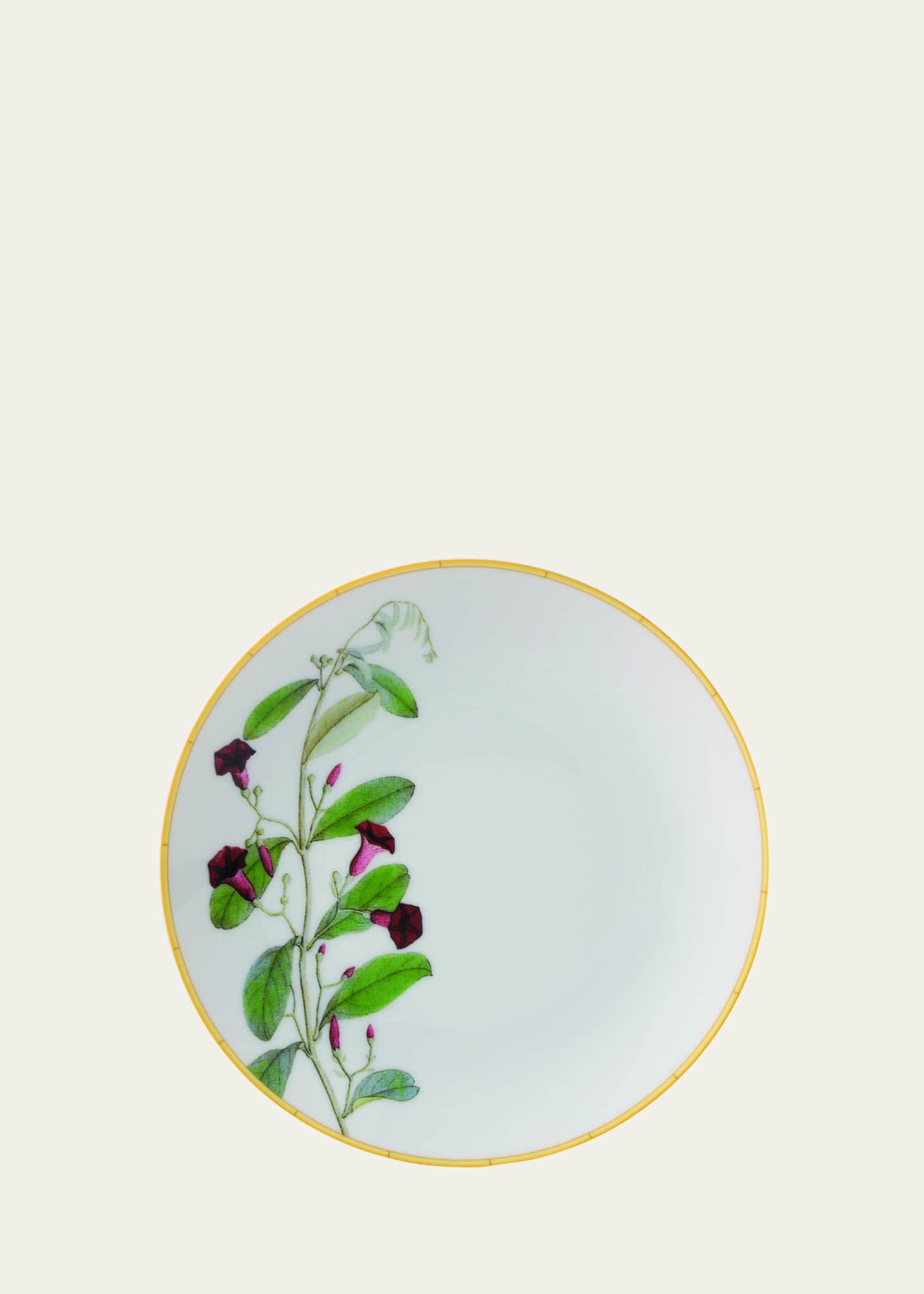 Bernardaud Jardin Indien Bread & Butter Plate