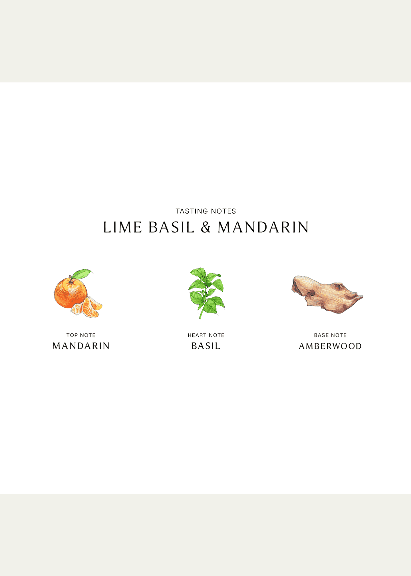 Jo Malone London Lime Basil & Mandarin Cologne, 1.0 oz. Image 3 of 3