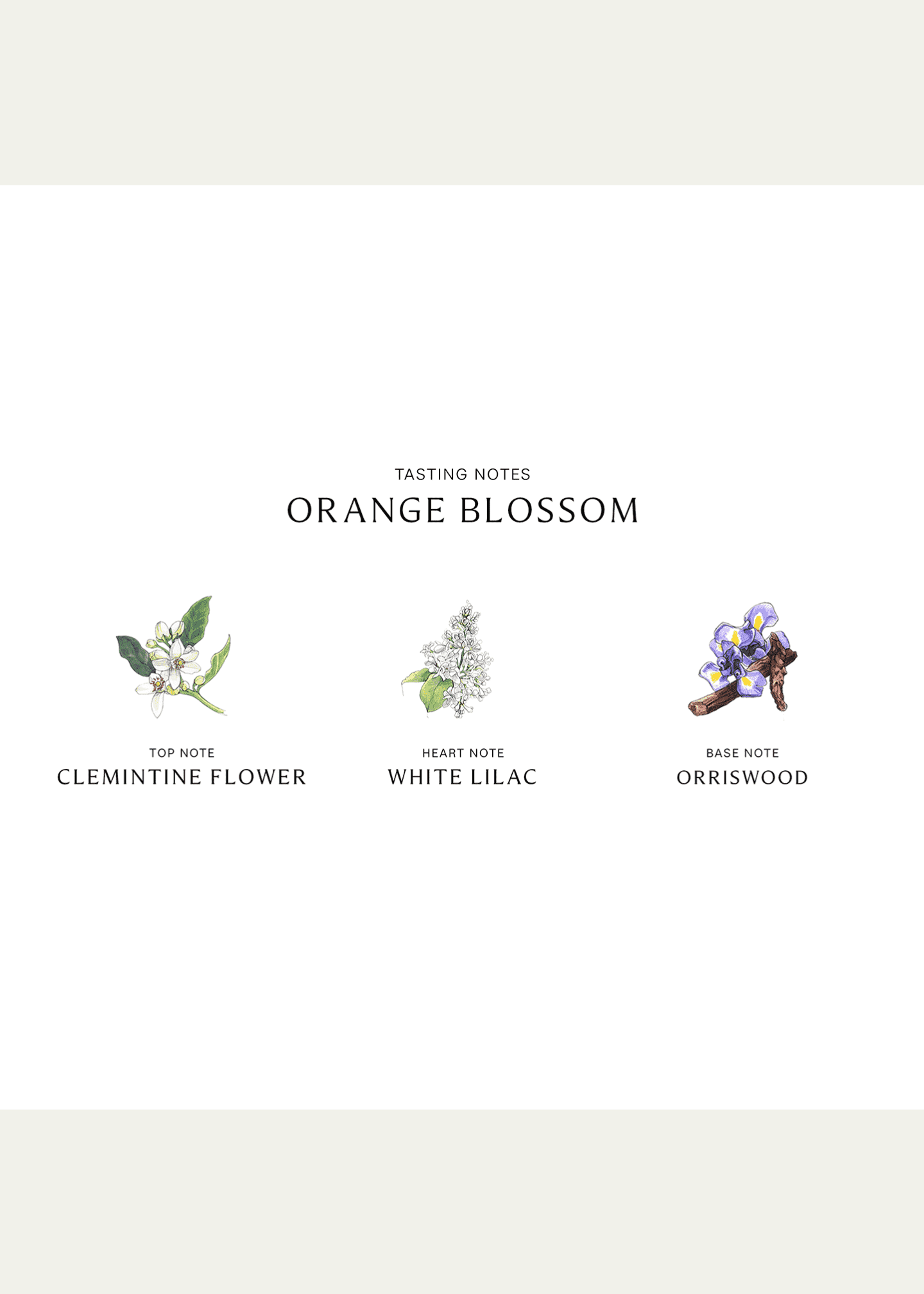 Jo Malone London Orange Blossom Cologne, 1.0 oz. Image 3 of 4
