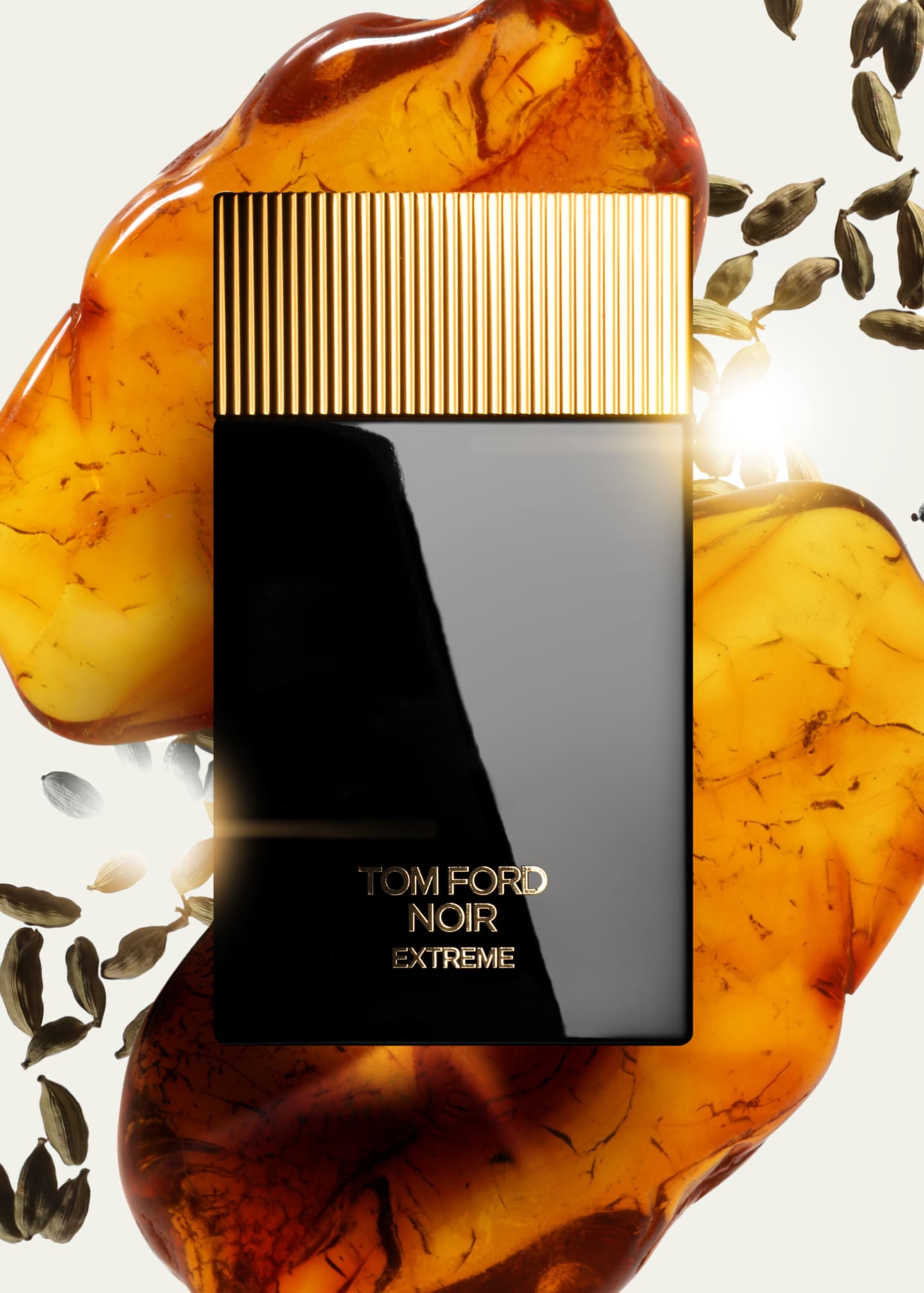 Tom Ford Noir Extreme Parfum 1.7 Oz.