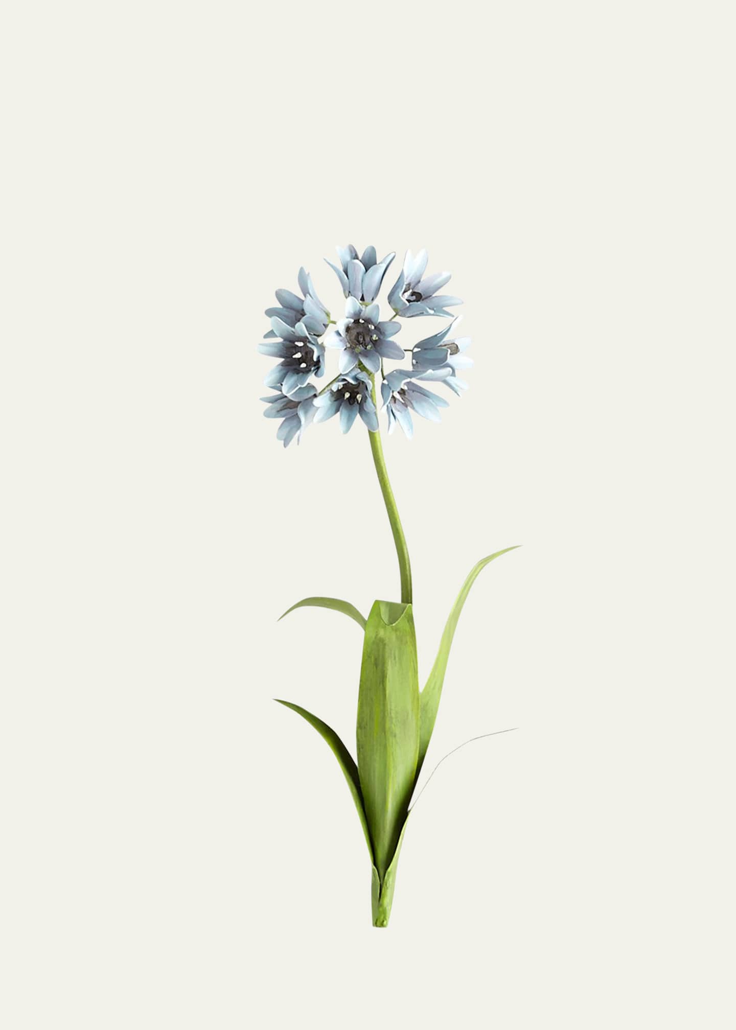 Tommy Mitchell Original Painted Agapanthus Study