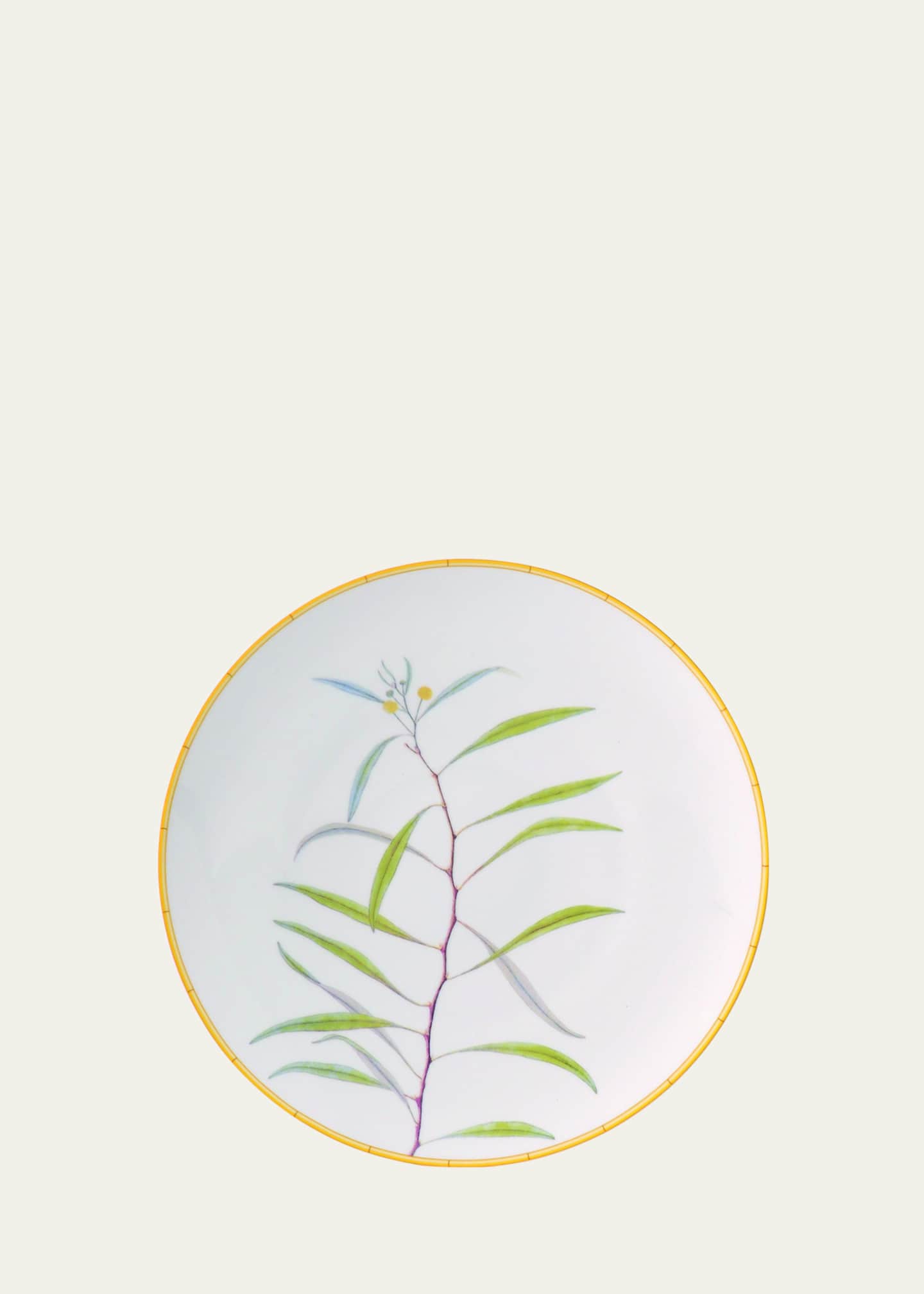 Bernardaud Jardin Indien Dinner Plate