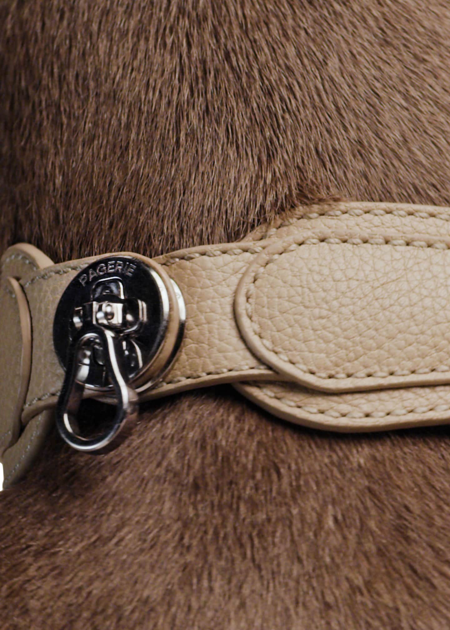 PAGERIE The Dorro Dog Collar Image 5 of 5