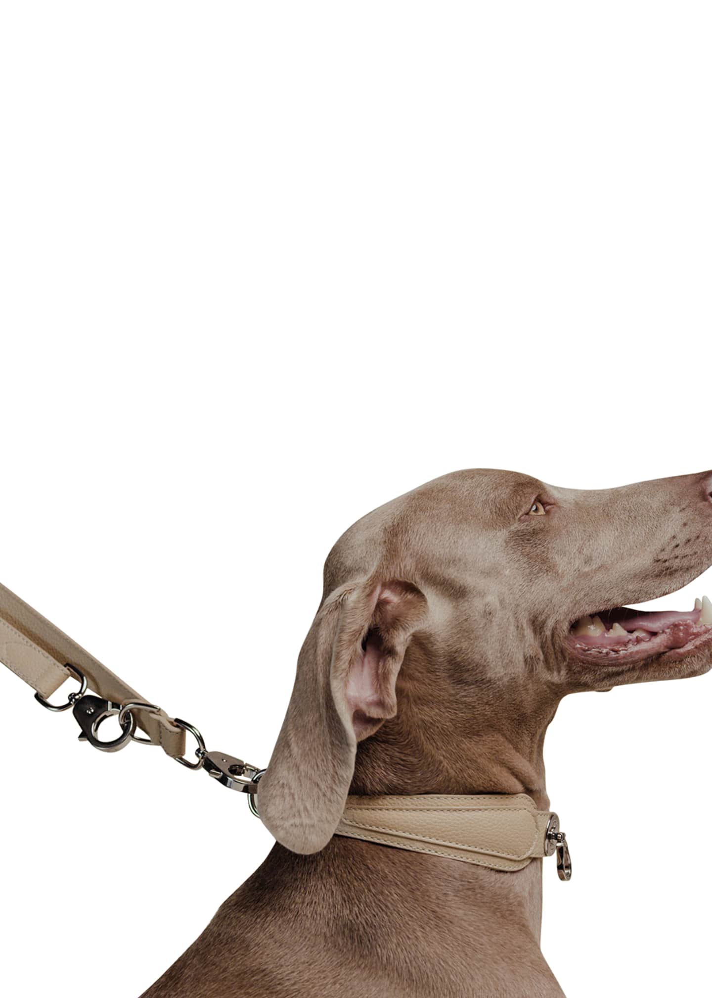 PAGERIE The Tascher Leash Image 4 of 5