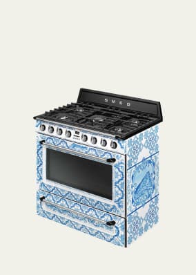 Dolce&Gabbana x SMEG Majolica Gas Range