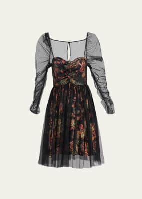 Ritchie Long Sleeve Floral Tulle Mini Dress
