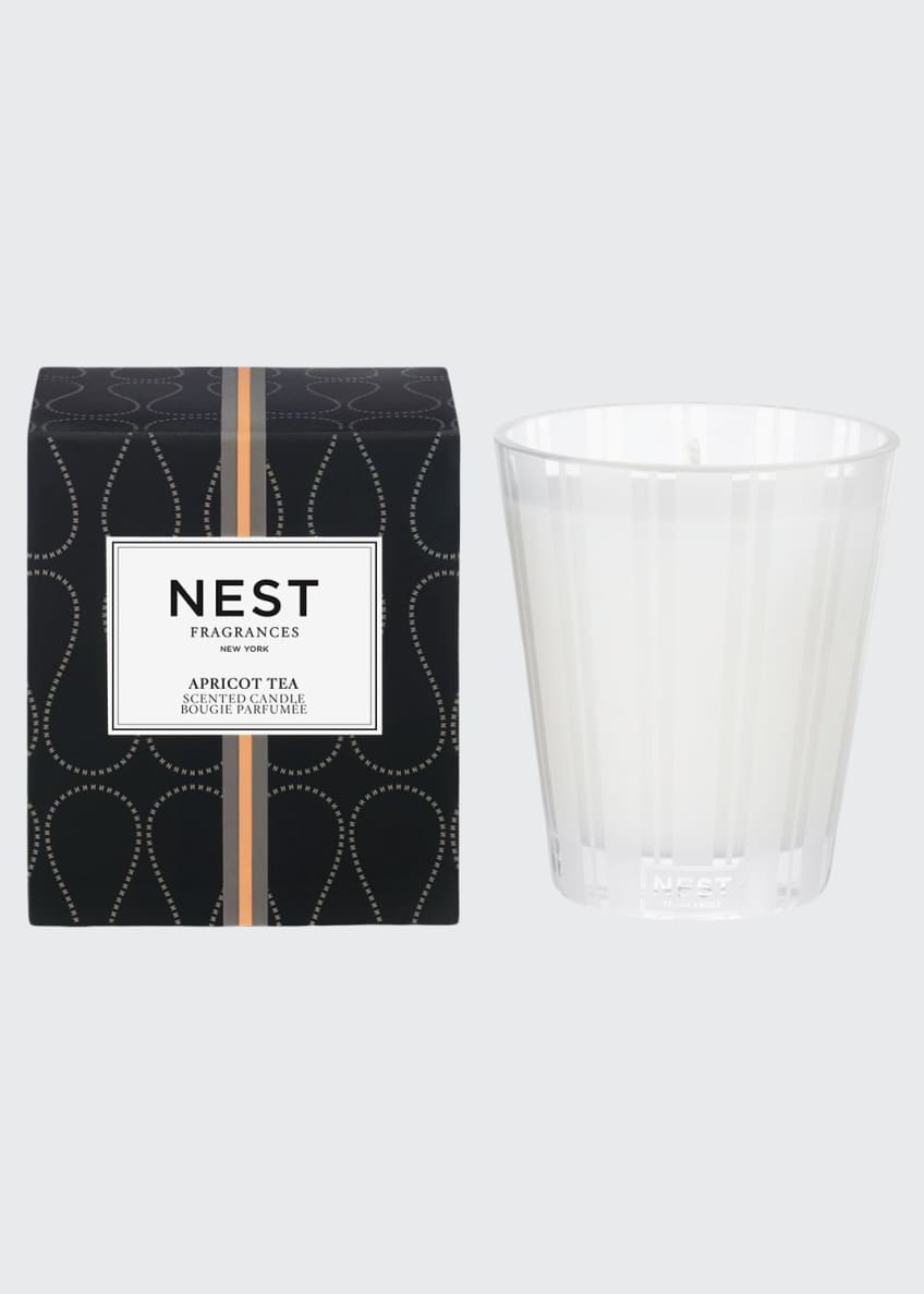 Nest Fragrances Birchwood Pine Classic Candle