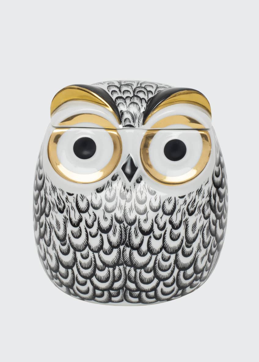 Feathered Owl Jar