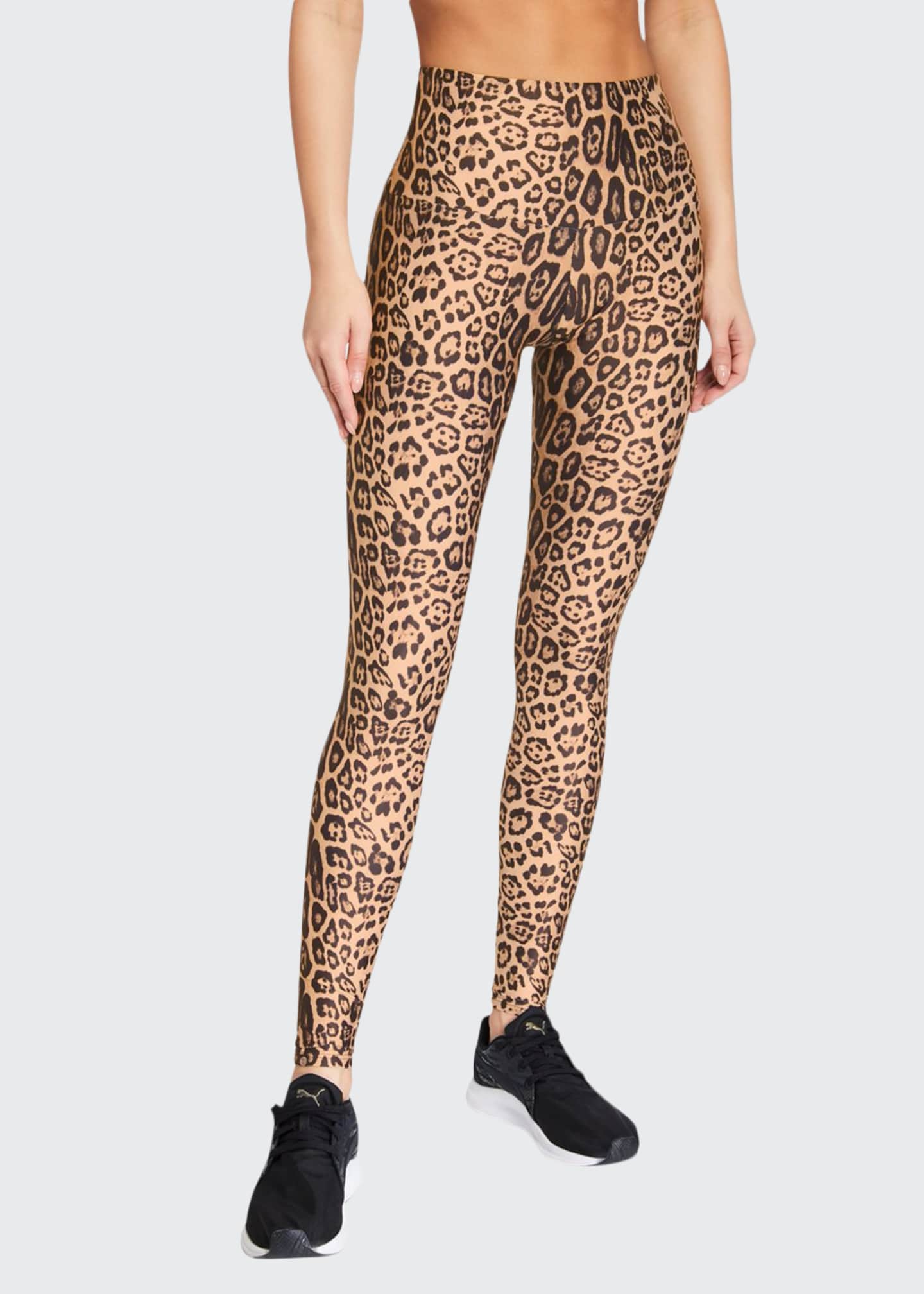 leopard high rise pants