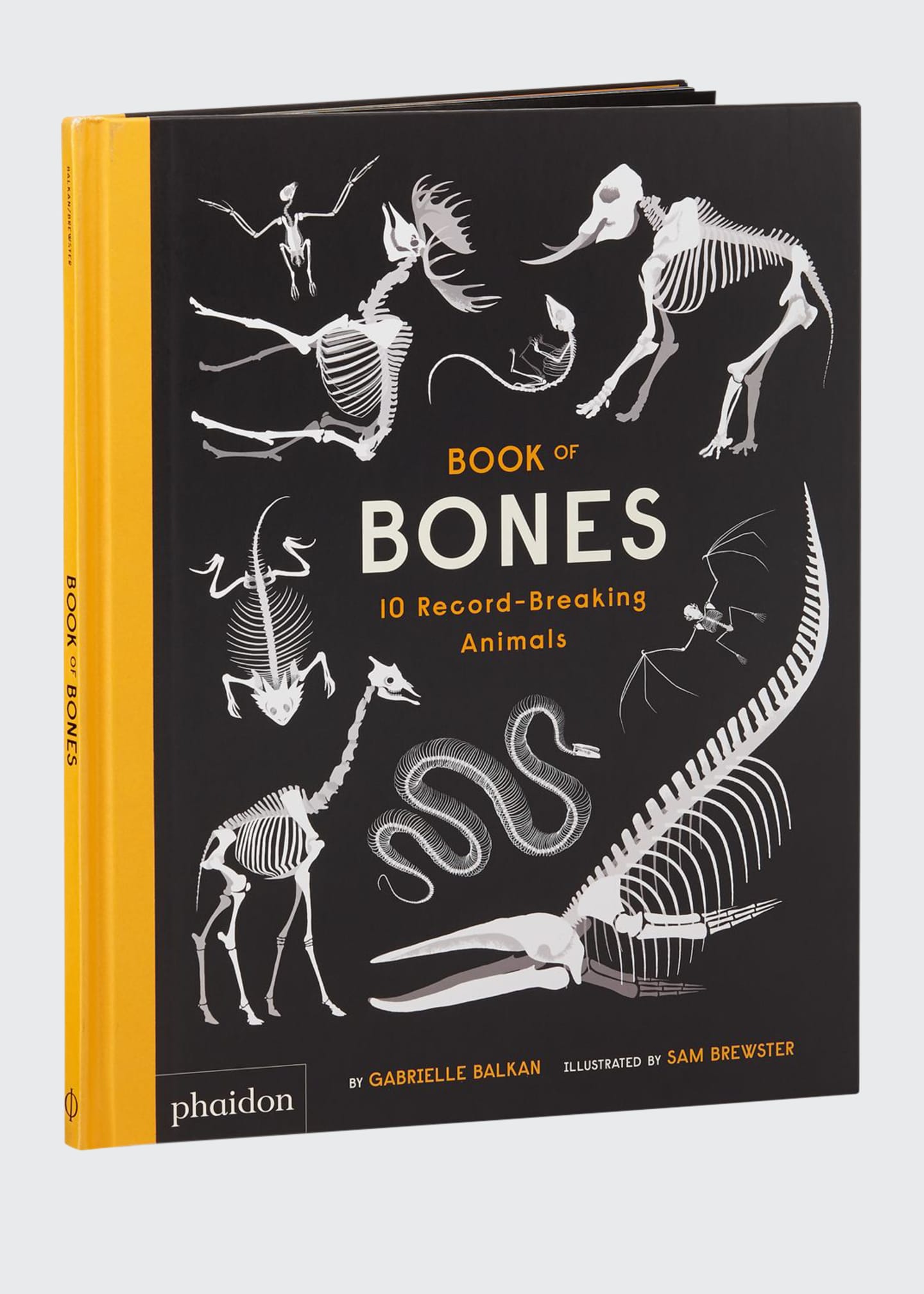 Hachette Book Group "Book of Bones" Children's Book Bergdorf Goodman