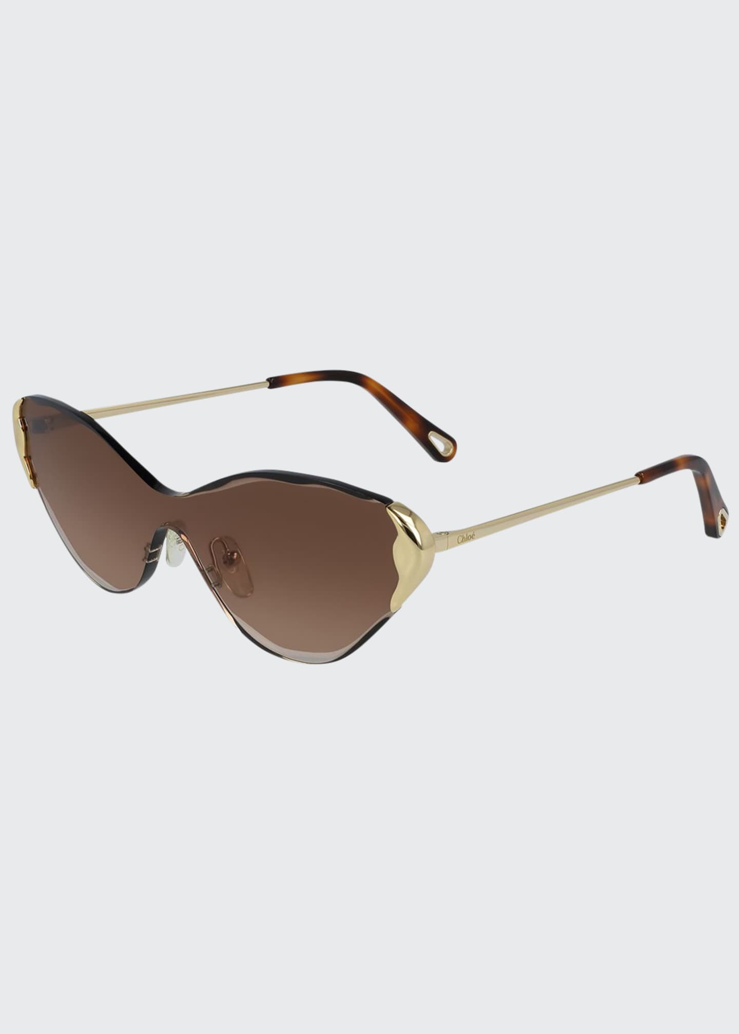 Dior Sideral 1 Metallic Trim Cat Eye Sunglasses