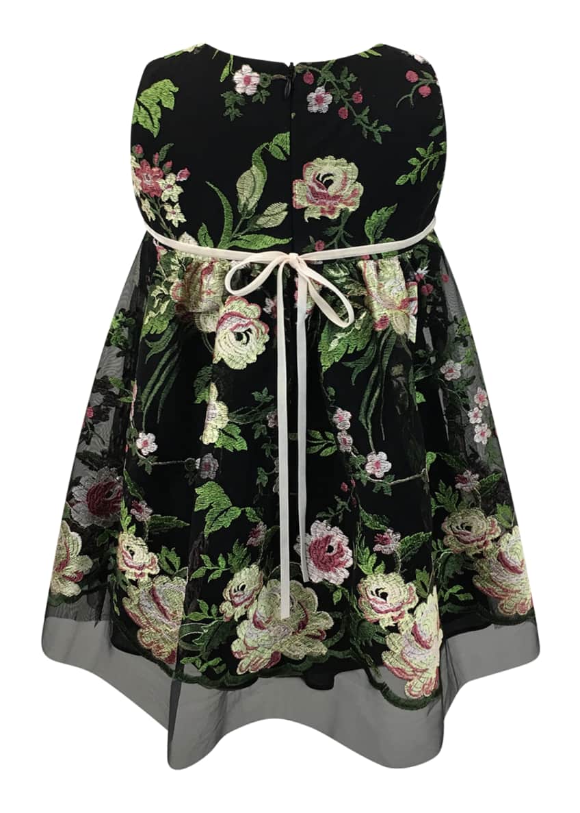 Helena Sleeveless Floral-Embroidered Dress, Size 2-6 Image 2 of 4