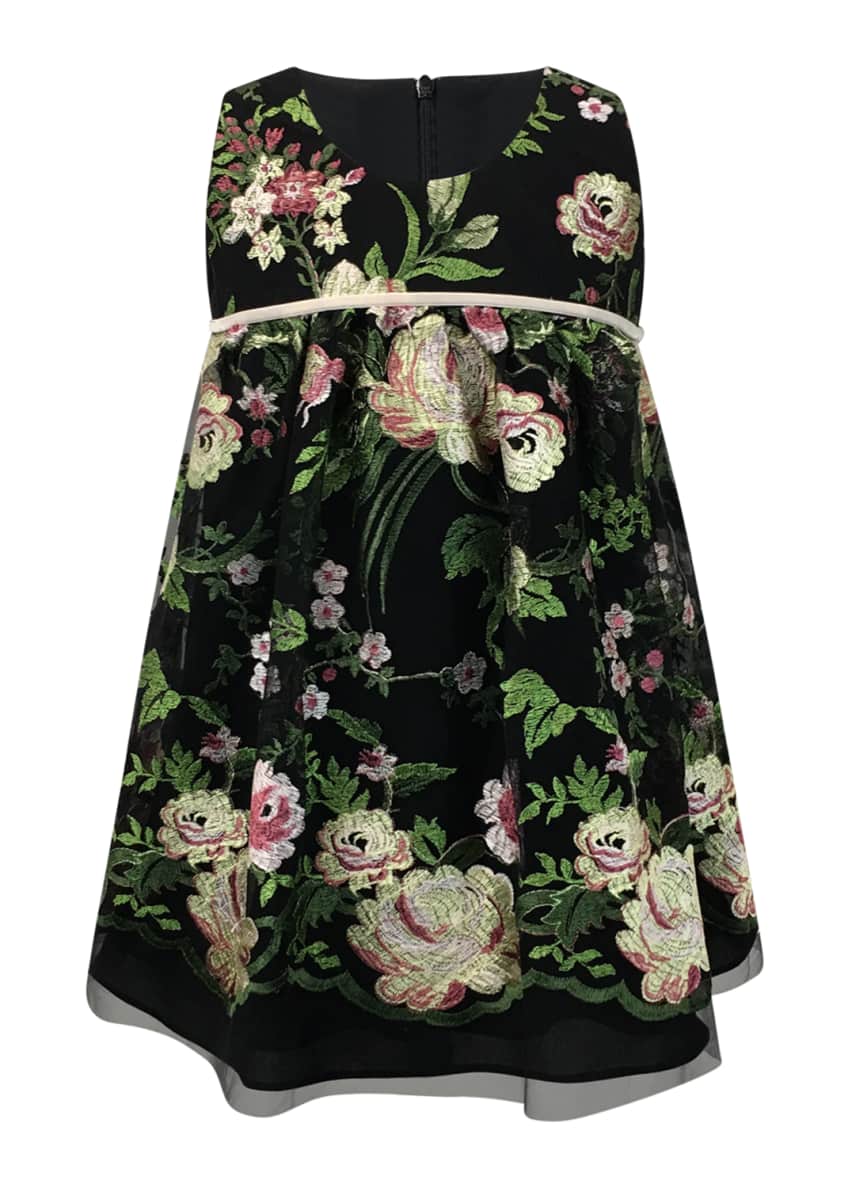 Helena Sleeveless Floral-Embroidered Dress, Size 2-6 Image 1 of 4