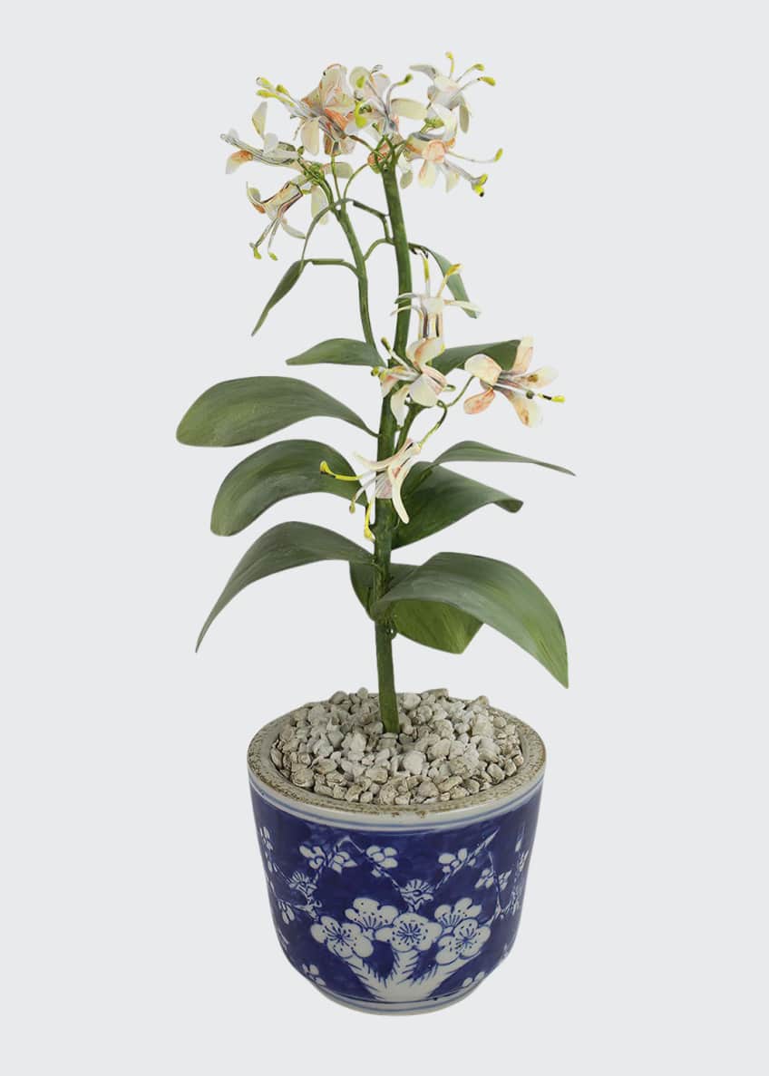 Charlotte Moss For Tommy Mitchell Honeysuckle June Birth Flower In Ceramic Pot Bergdorf Goodman