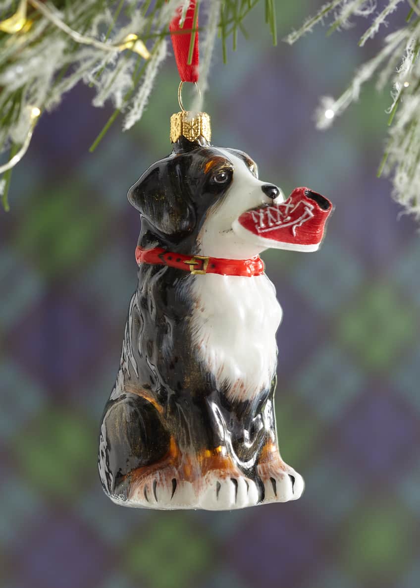 bernese mountain dog collar