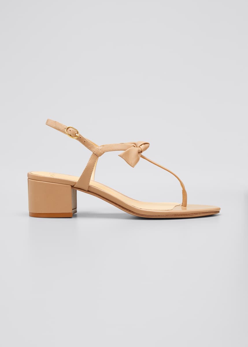 alexandre birman snake boots