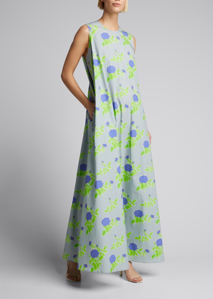 golden dawn maxi dress