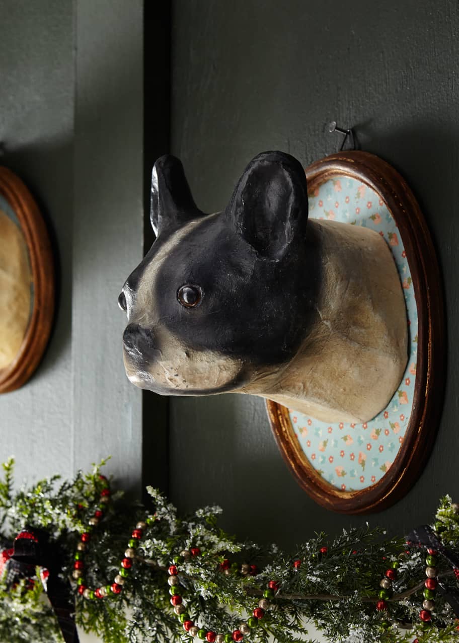 Boston terrier women's clothing online