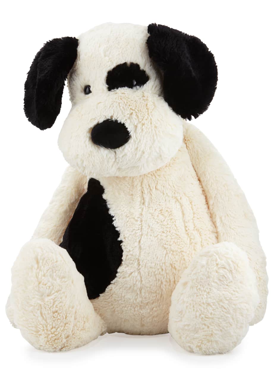 bashful black and cream puppy