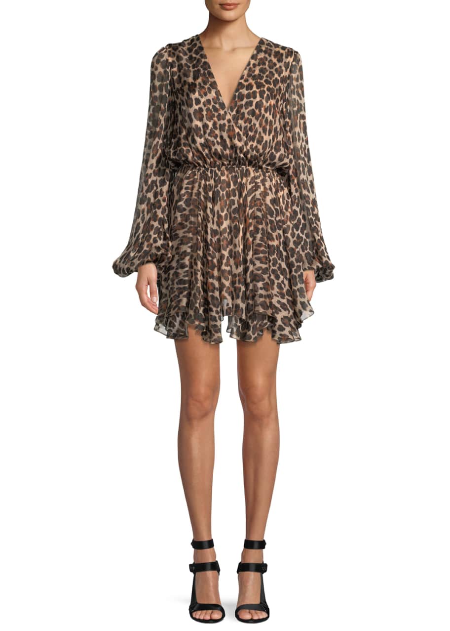 Caroline constas leopard on sale dress