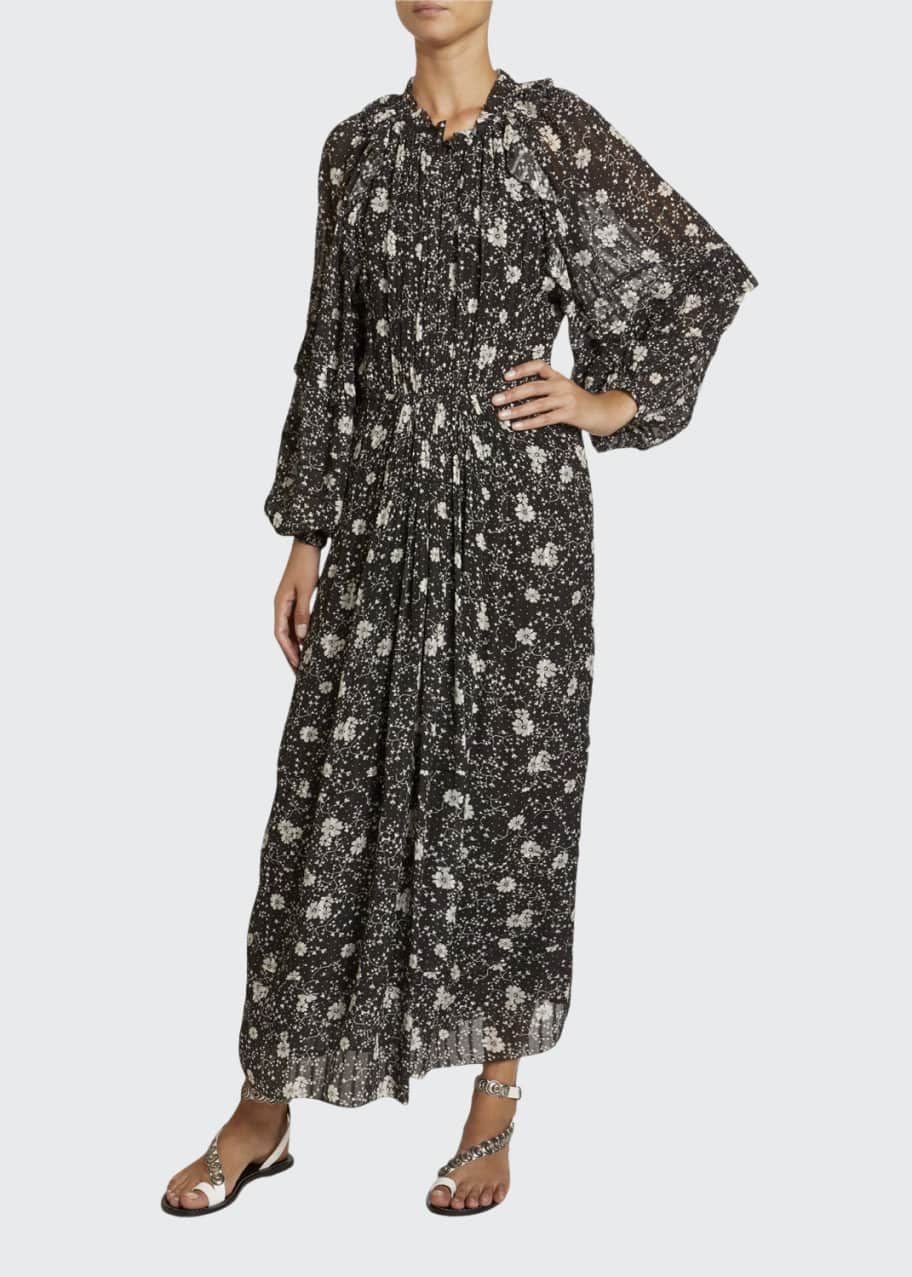Estine Floral Print Chiffon Maxi Dress