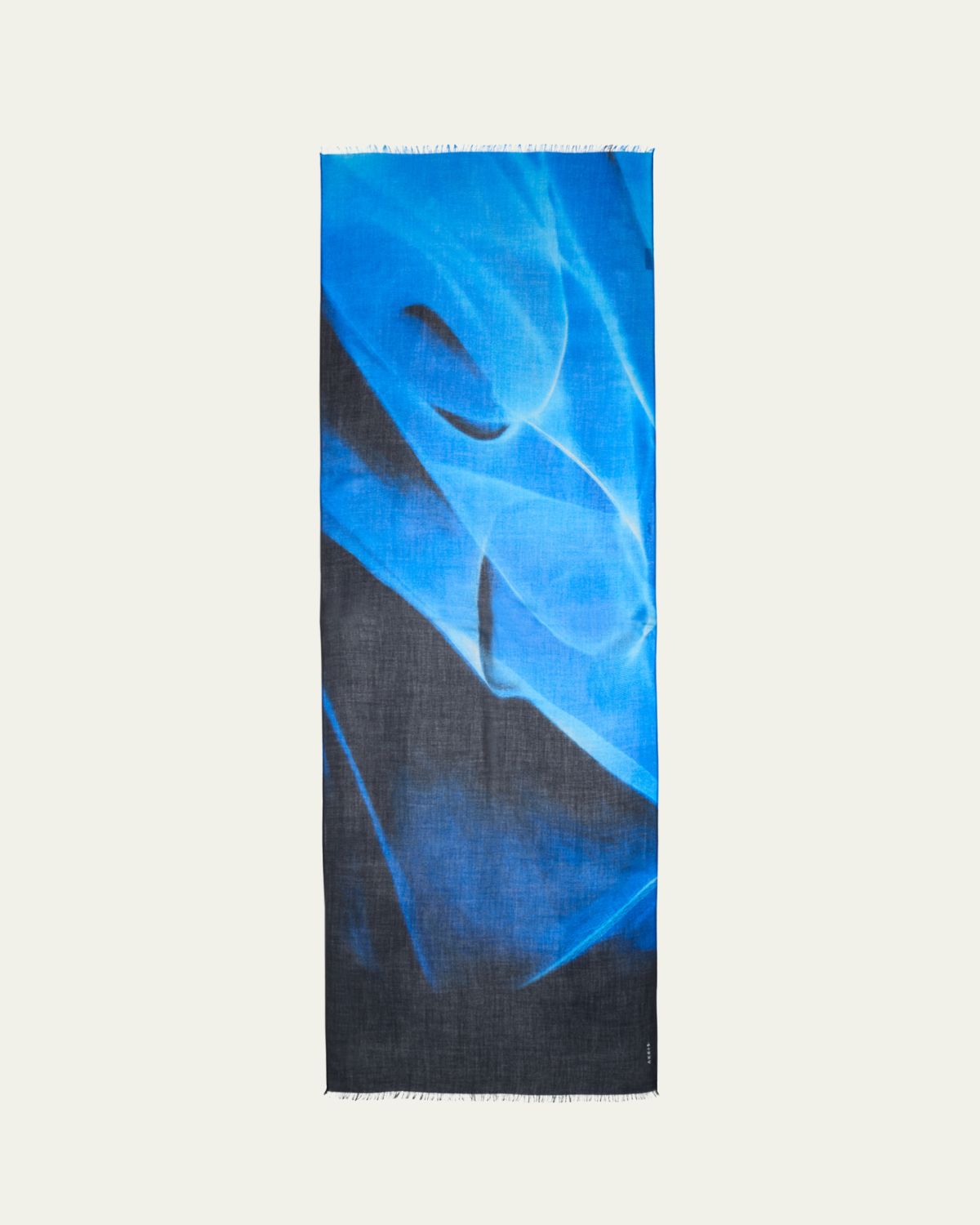 Akris Alyson's Cyanotype Printed Cashmere Scarf