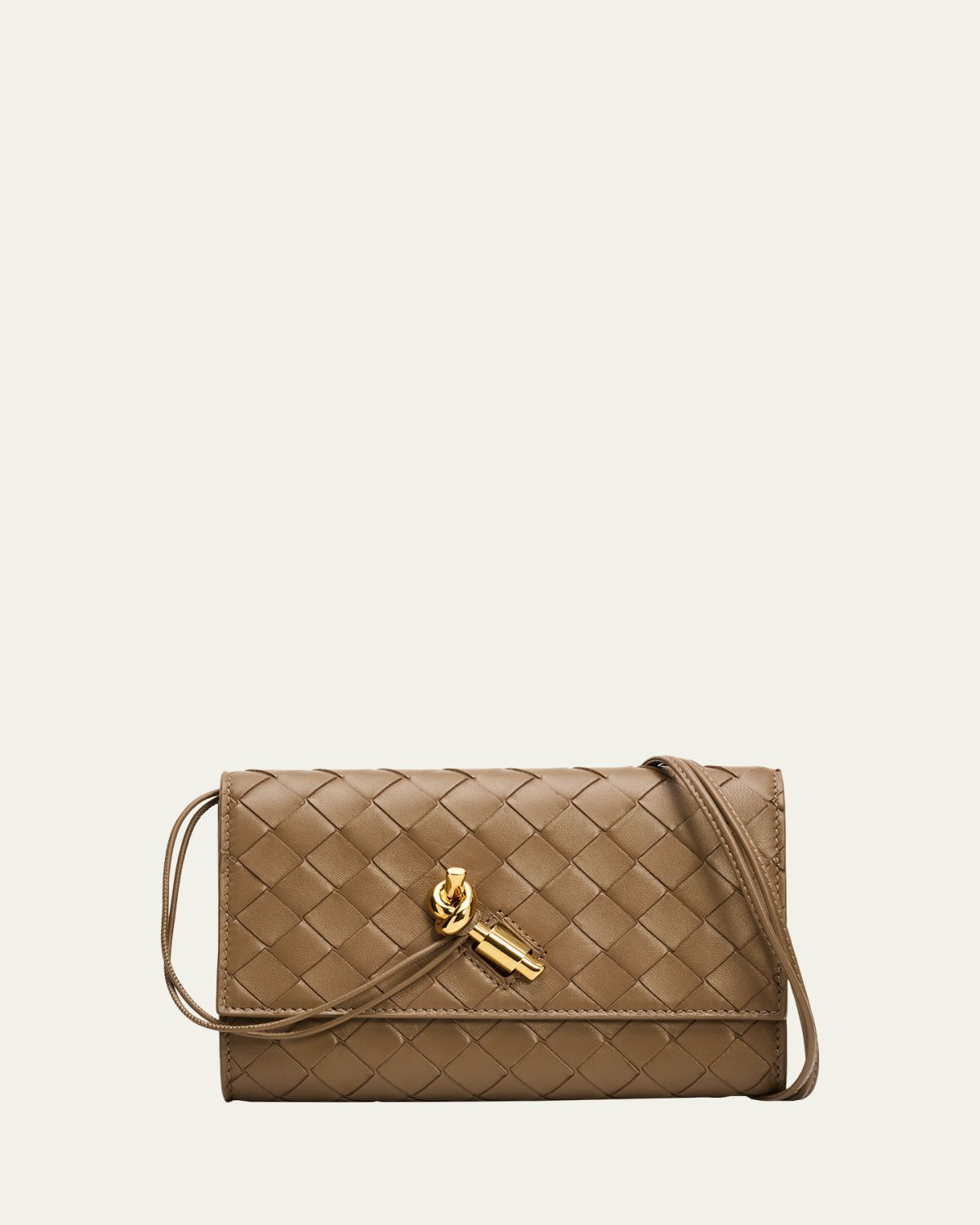 Bottega Veneta Andiamo Leather Pouch Bag