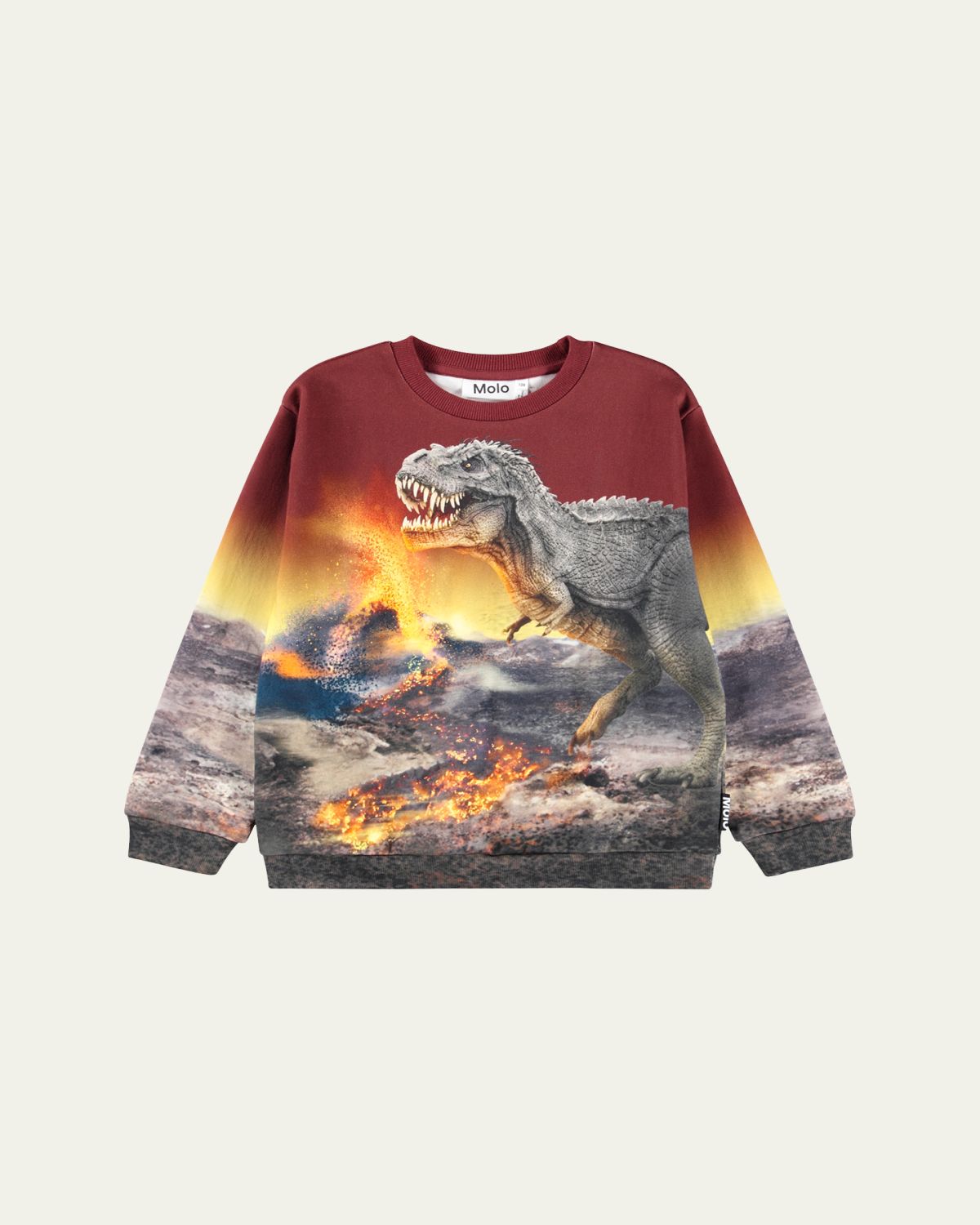 Molo Boy's Miksi Sweatshirt, Size 2-7