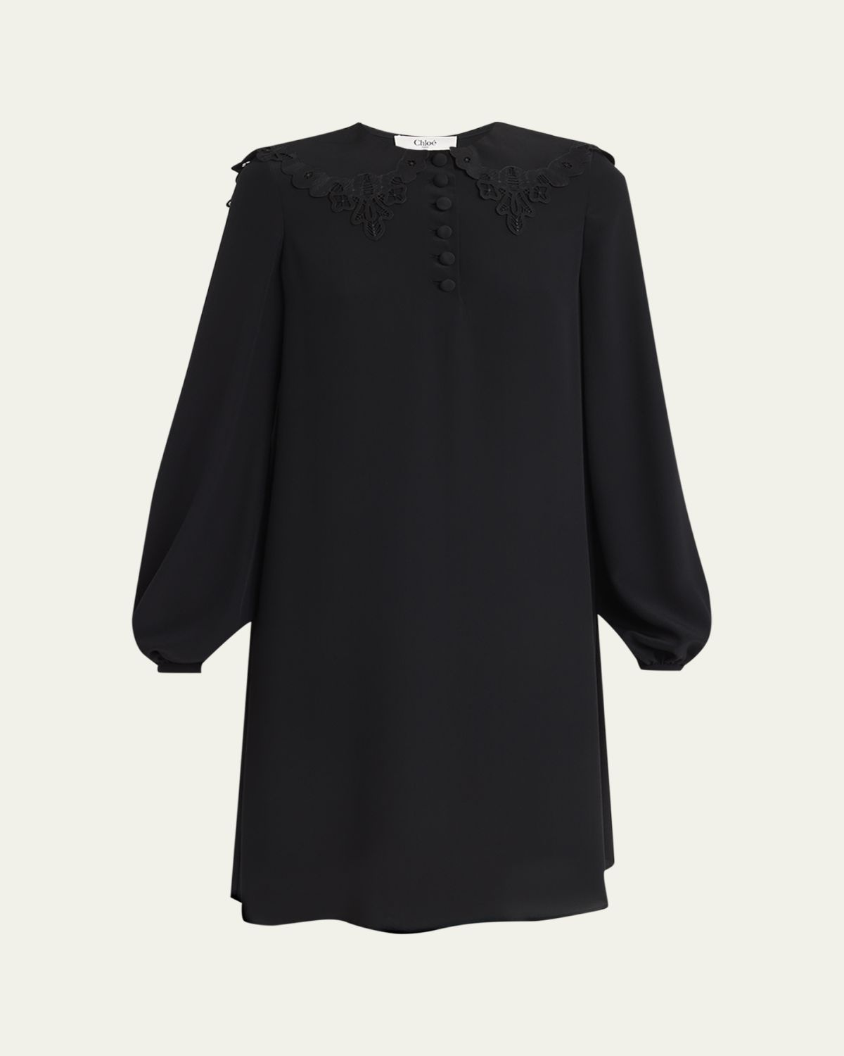 Chloe Floral Embroidered Silk Knee-Length Dress