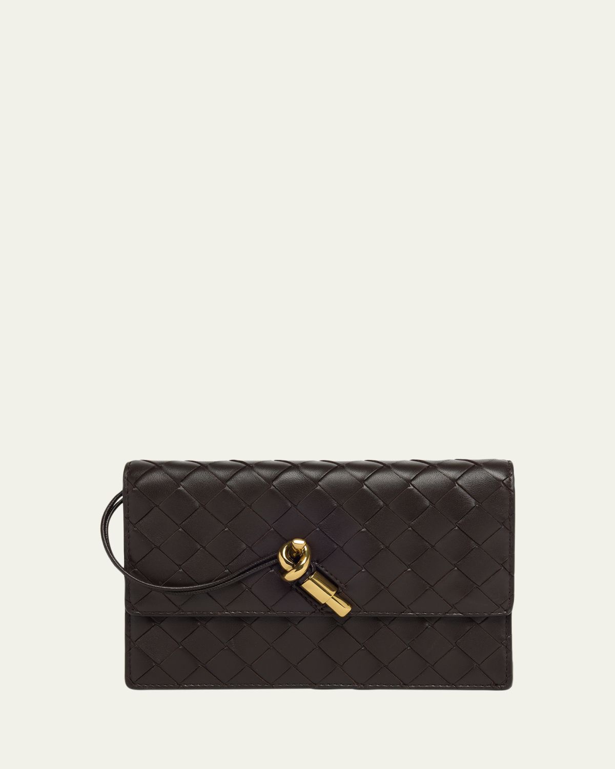 Bottega Veneta Andiamo Leather Chain Pouch Bag